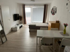 Beautiful 2 Bedroom Apartment Prostějov